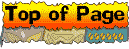 Top of Page